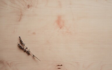 Dried lavender sprigs on light wood texture grain