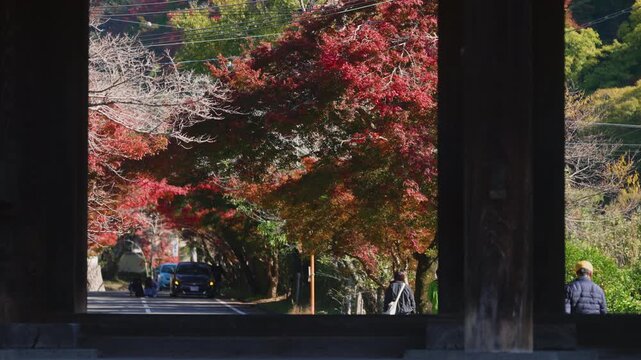 「根來寺(ねごろじ)・秋」和歌山県岩出市 Historic Daimon Gate of Negoro-ji &ndash; Japanese Temple in Autumn Foliage