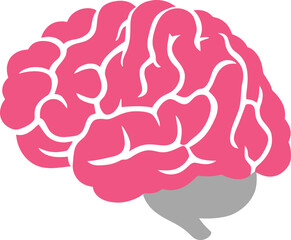 Understanding the Human Brain Structure, Function, and Cognitive Processes