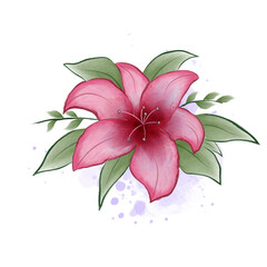 Watercolor lily design painting Brushes