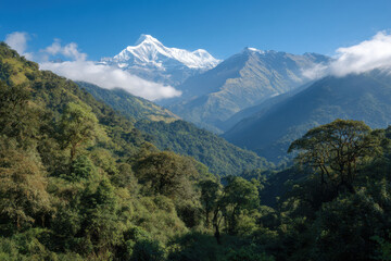 Fototapeta premium explore majestic beauty of world top mountains known for their unique ecosystems