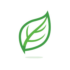 Green leaf vector icon design. Simple nature logo concept for ecology and organic products. Eco-friendly symbol isolated on white background.
