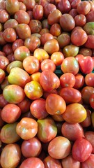 A batch of fresh, medium-sized ripe tomatoes.