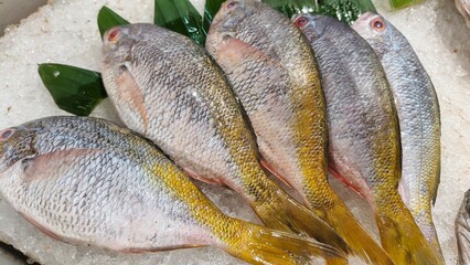 A batch of fresh, cleaned yellowtail fish.