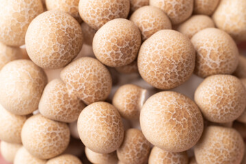 Fresh brown Shimeji mushroom texture background, Asian edible mushroom, Food ingredients