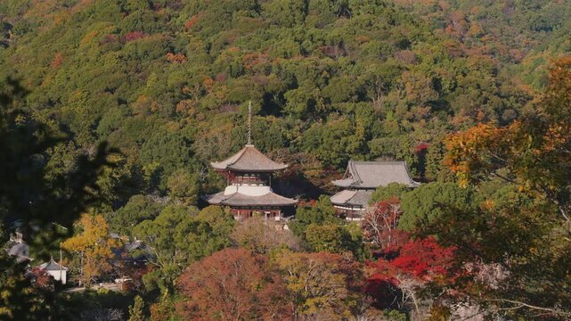 「根來寺(ねごろじ)・秋」五百仏山より 和歌山県岩出市