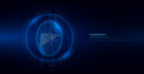 Liver symbol in fingerprint glowing on binary code background. Biometrics identification and approval. Medical digital technology. Security system data protection. Banner vector EPS10.