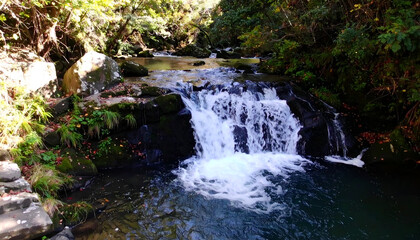Naklejka premium Autumn Waterfall with Forest Stream.