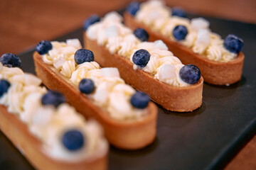 Deliciously Crafted Dessert Tartlets Featuring Creamy Toppings and Fresh Blueberries on a Dark Serving Plate