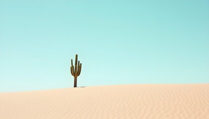 Should it be minimalistic or detailed  .