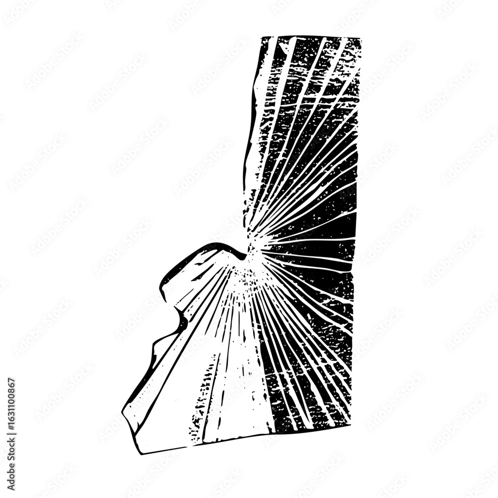 Poster vector abstract figure with radiating lines .