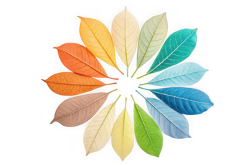 Colorful autumn leaves arranged in a circle isolated on transparent background