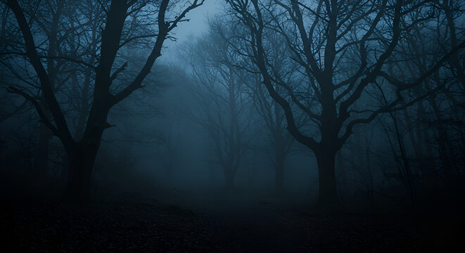 Eerie twilight forest scene with bare trees silhouetted by a foggy atmosphere