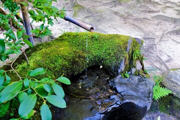 日本、奈良、唐招提寺、奈良市、庭園、佛寺、寺院、伽藍、軒丸瓦、文化財、木造建築、古代建築、日本文化、歷史名勝、木、綠色、青空、石灯篭、写真素材 © Bhdr1996