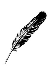 Fototapeta premium Vector Elegant black feather with detailed barbs.