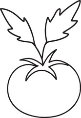 One line drawing sketch of a tomato with two leaves vector art illustration