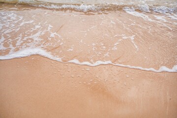 Waves gently wash onto a serene sandy beach during a sunny day at coastal paradise