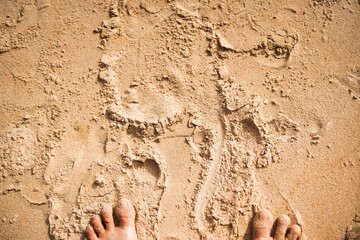 Footprints on sandy beach at sunset showcasing the beauty of nature and tranquility of the seaside