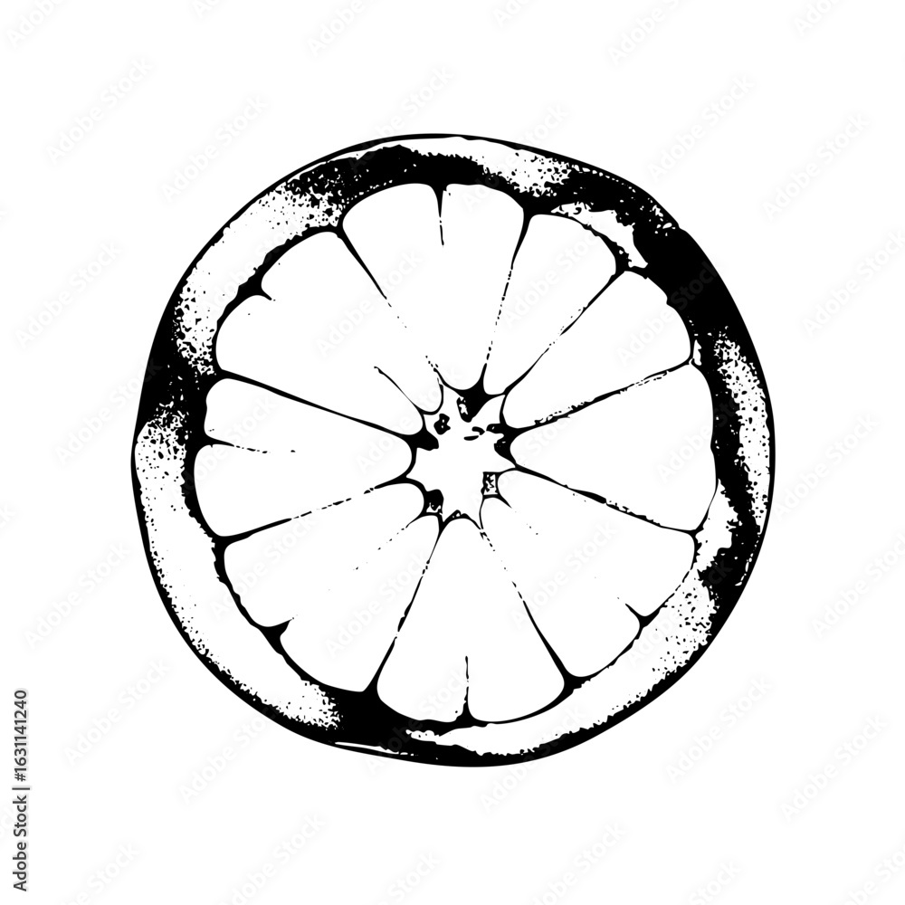 Poster vector detailed citrus slice with segmented pulp.