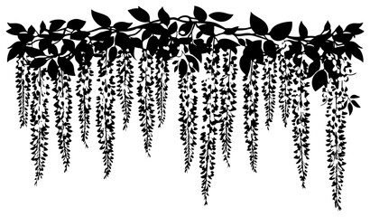 Wisteria vine decoration border silhouette © safri