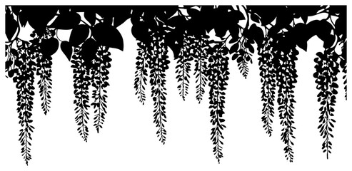 Wisteria vine decoration border silhouette © safri
