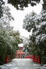 雪に覆われた境内