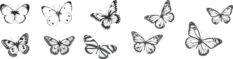 butterfly tattoo, kanji, symbol, calligraphy,