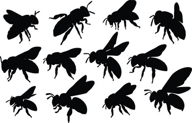Bee silhouette set, insect vector icons, flying bee graphics, black bee clipart, entomology illustrations, pollinator symbols, nature design elements