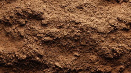 A close-up view of rich brown soil reveals a detailed texture showcasing fine particles. The warm afternoon light enhances its earthy tones, highlighting the natural beauty of soil.