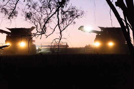 Harvesters harvesting canola crop at sunset with gum tree silhouette