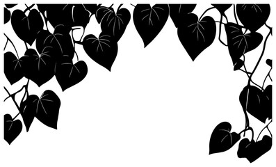 philodendron heartleaf vine decoration border silhouette © safri