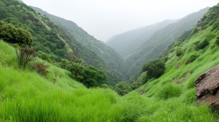 Obraz premium Exploring majestic green valleys nature landscape scenic viewpoint lush environment vibrant serenity