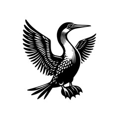 Fototapeta premium Cormorant with wings spread isolated on white background, ready for flight