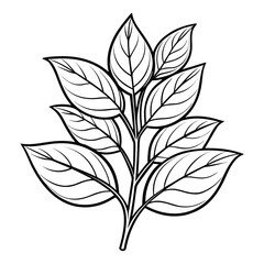 black and white flower