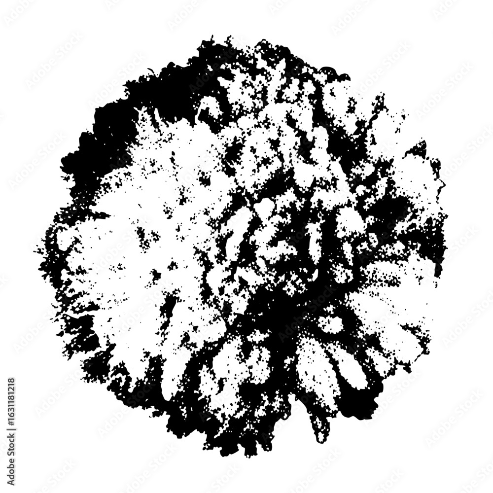 Poster vector abstract splatter features a dynamic textured burst.