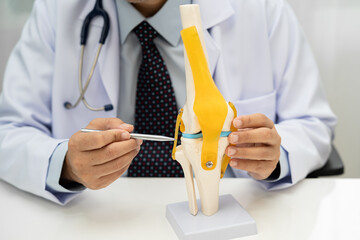 Asian doctor holding spinal nerve and bone model, Lumbar spine displaced herniated disc fragment for treatment medical in the orthopedic department.