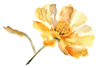 PNG Vintage flower blossom pollen petal.