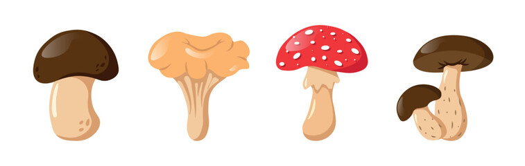 Vector Set Mushrooms In Cartoon Style Isolated On White Background. Champignon, Chanterelle, Fly Agaric, Birch Boletus. Forest Elements Harvesting Icons Stickers Food. Different Mushrooms.