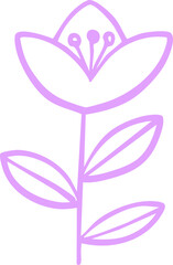 floral botanical line art ornament