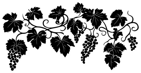Grape vine illustration silhouette border © safri
