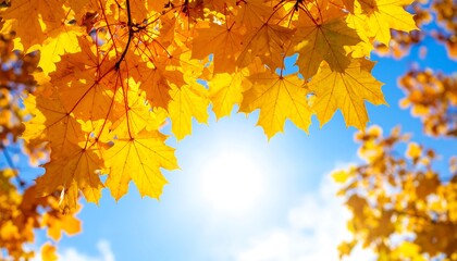 Obraz premium Autumn leaves against bright sky
