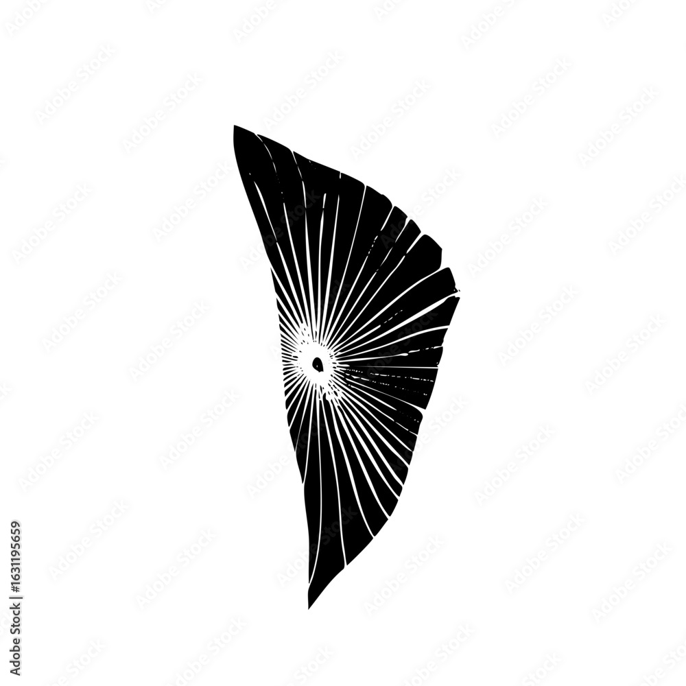 Poster vector abstract radial burst with linear elements