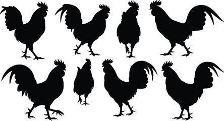 Collection of black rooster silhouettes, farm animal illustrations, vintage chicken vector set, rural poultry design clipart for decoration