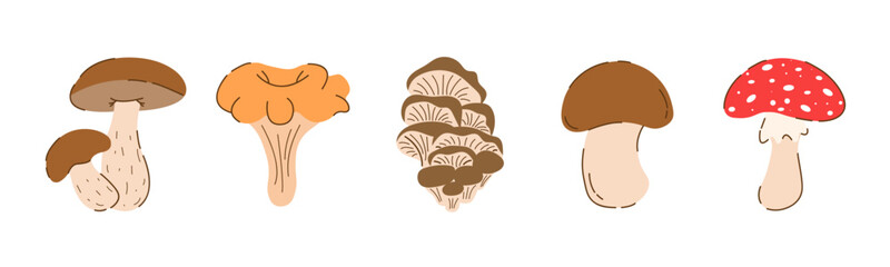 Mushrooms Flat Set Edible and Poisonous, Champignon, Birch Boletus, Chanterelles, Oyster Mushrooms, Fly Agaric Isolated on white Background. Autumn Vegetarian Elements in Modern Trendy Style. 