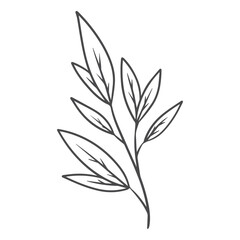 LINE ART HAND DRAWN LEAF BRANCH AND FLOWER