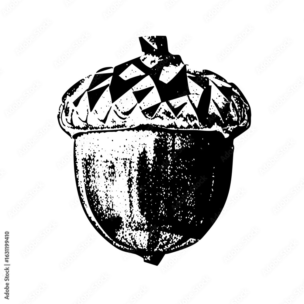 Poster vector detailed of a single acorn with textured cap and body.