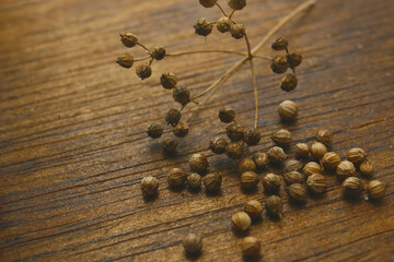 close up of coriander seeds on a wooden background