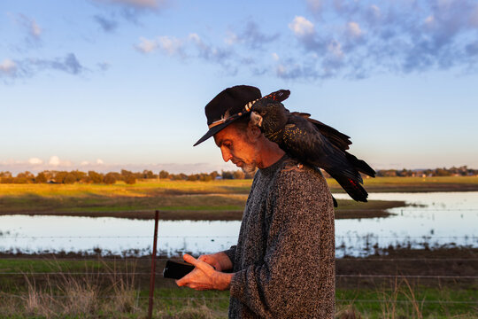 middle aged Aussie man using mobile phone while on walk with red tailed black cockatoo bird