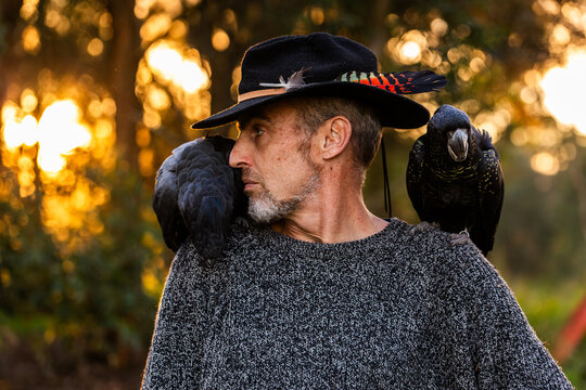 Aussie man in bushland at sunset with pair of red tailed black cockatoo birds on shoulders