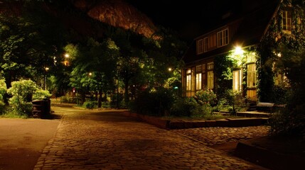 Fototapeta premium Cobblestone street at night with trees and houses.